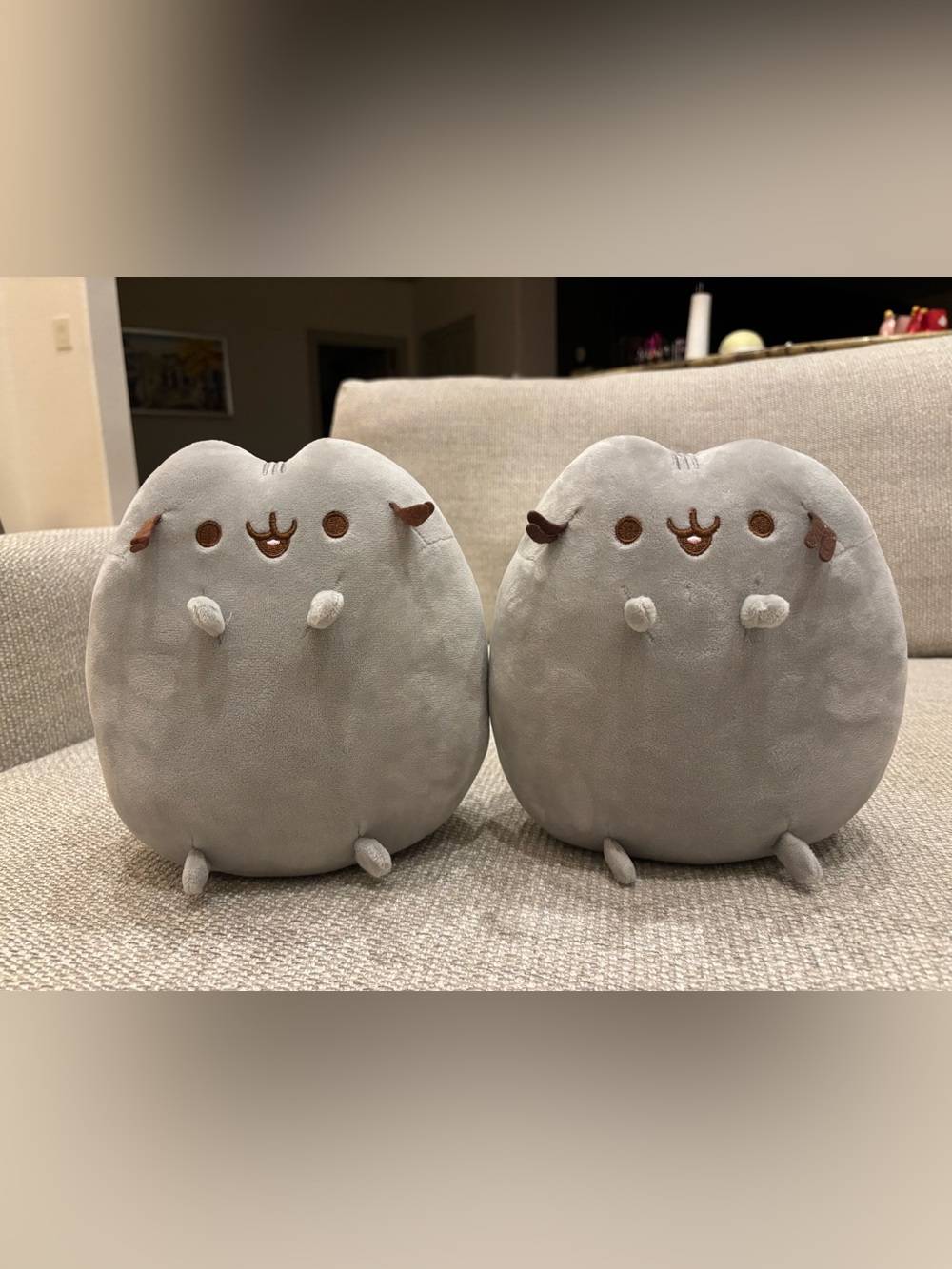 Pusheen Plush Set
